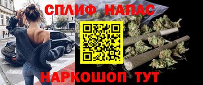 сатива Новодвинск