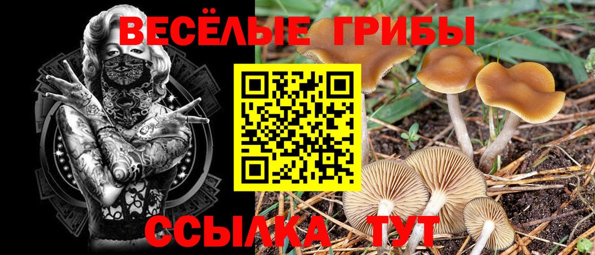 Галлюциногенные грибы Magic Shrooms Татарск